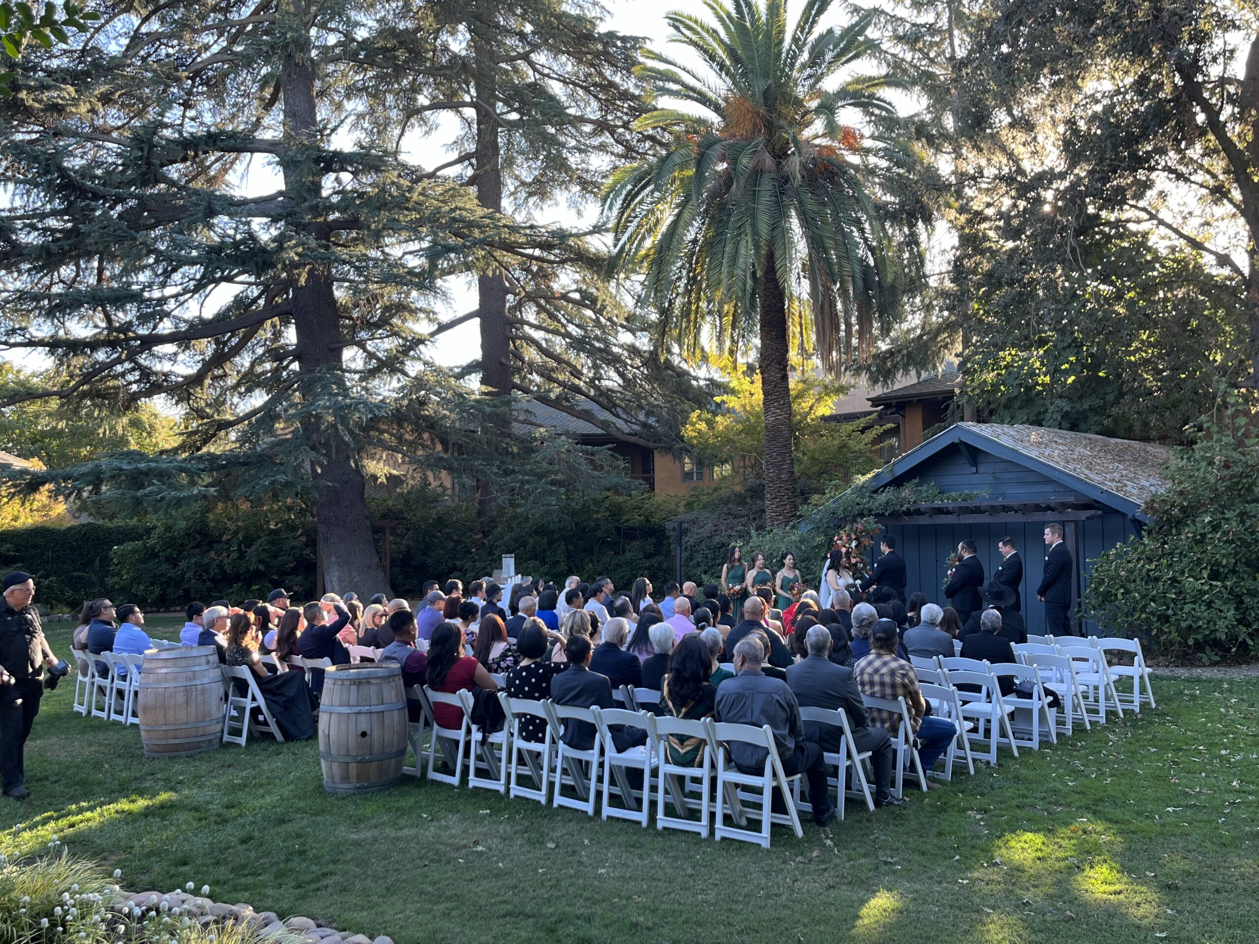Outdoor wedding ceremony seating on a lawn surrounded by pine and palm trees